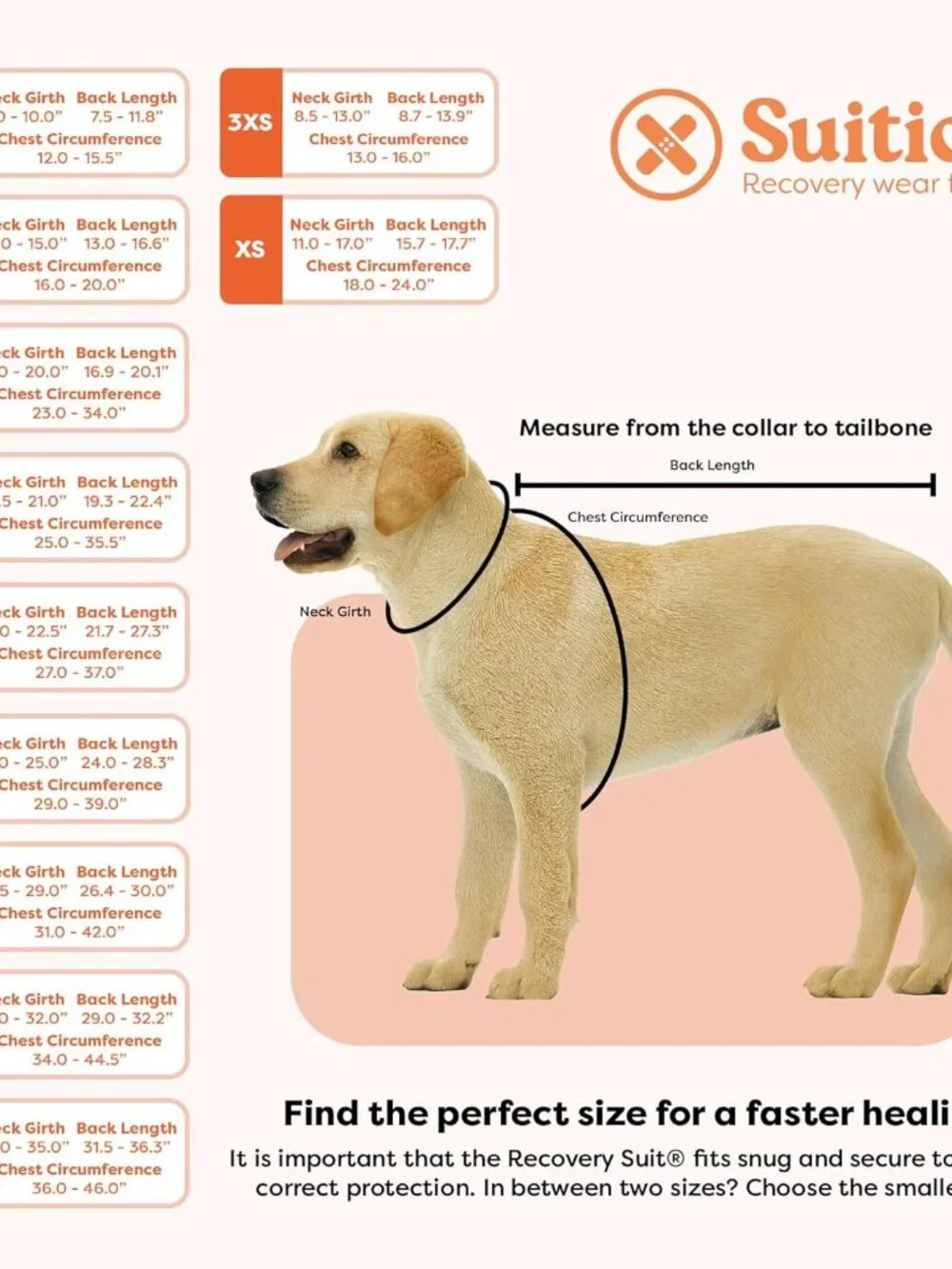 Suitical Recovery Suit for Dogs - Size Medium